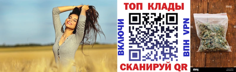 Где найти наркотики Гагарин MEGA сайт  ГАШИШ  Конопля 